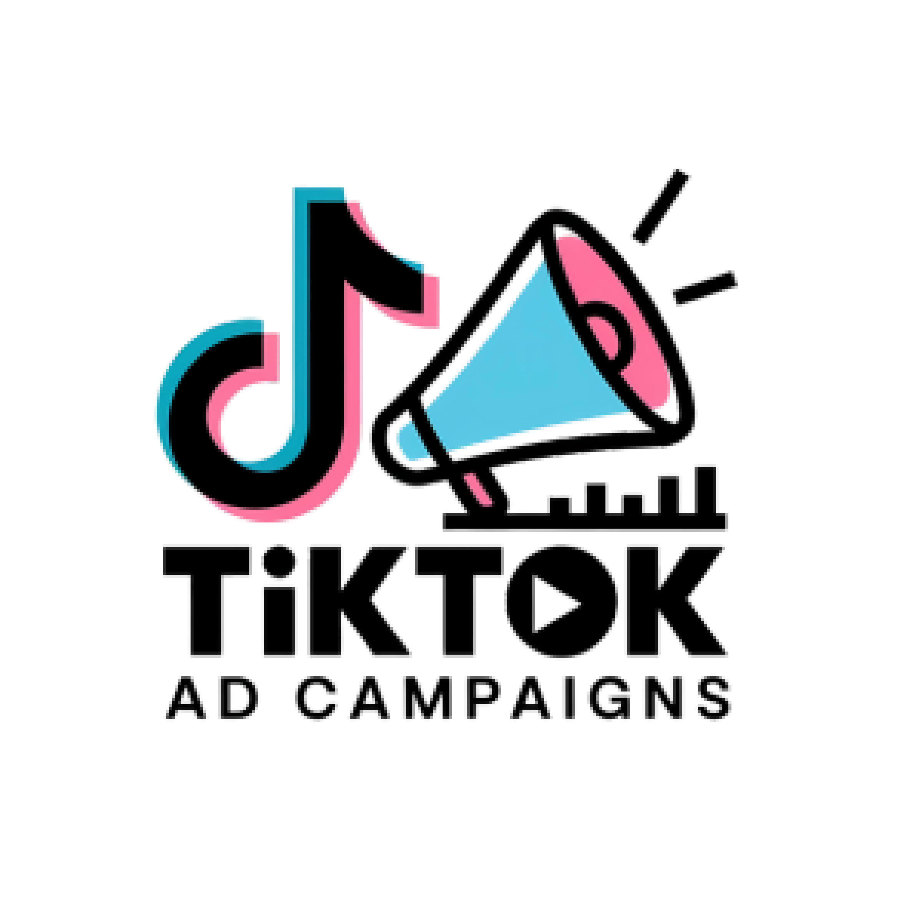 Tiktok Ad Campaigns​